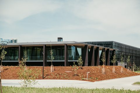 Mecawel-191.jpg