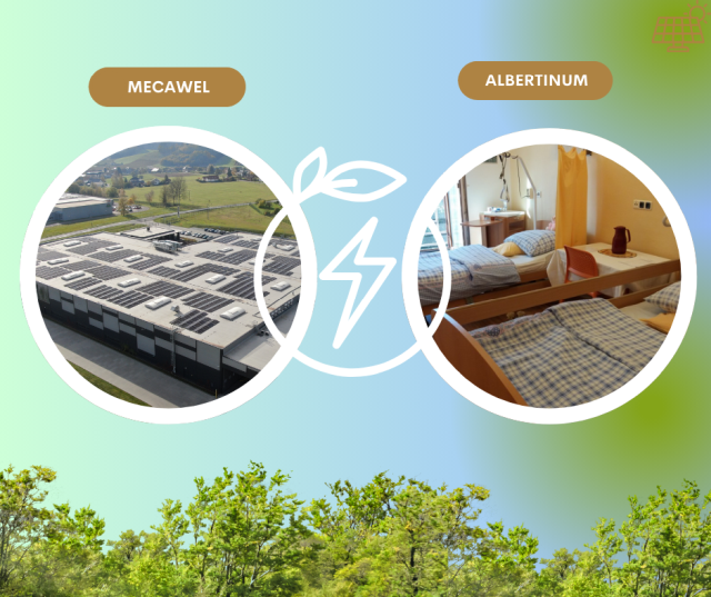 nazev pozice mecawel